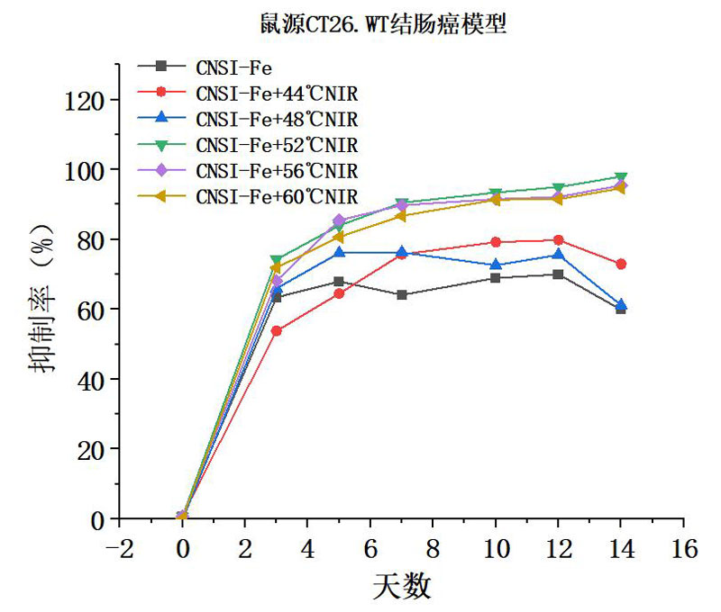 納米炭鐵熱療在52-60℃都能取得較好的腫瘤抑制率